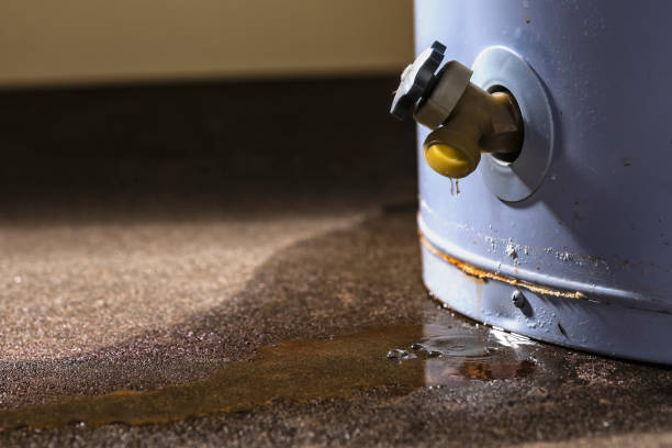 Best Water Damage Assessment and Inspection in Merrick, NY