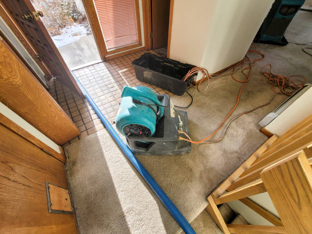 Best Plumbing Leak and Burst Pipe Cleanup in Merrick, NY